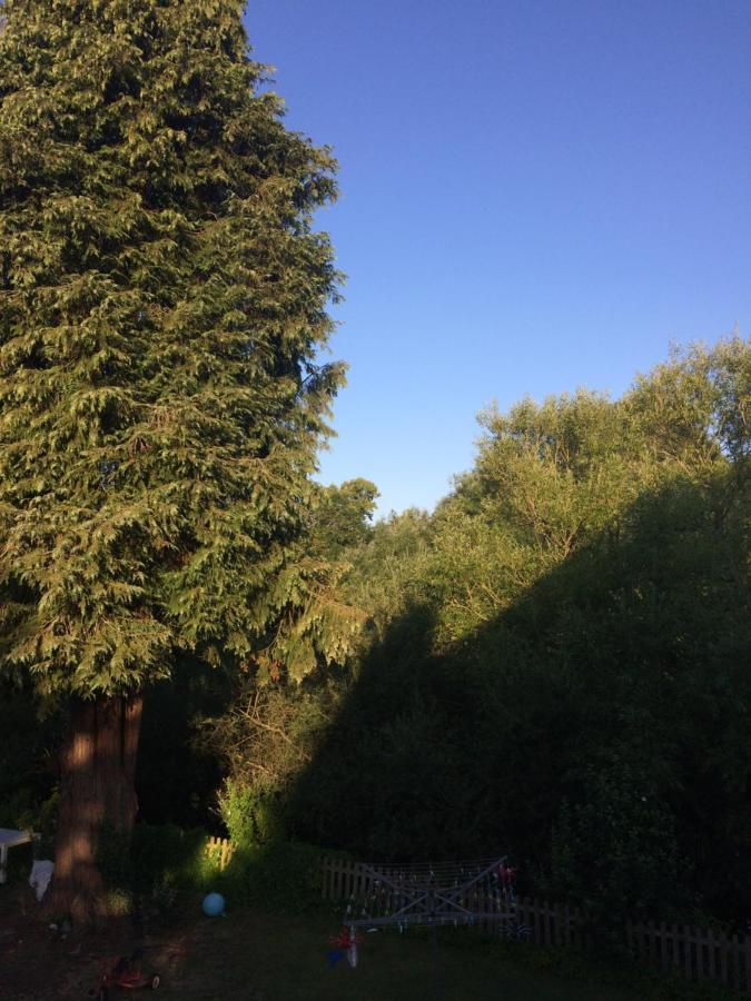 Fairlawn Bed & Breakfast Bishops Waltham Bagian luar foto